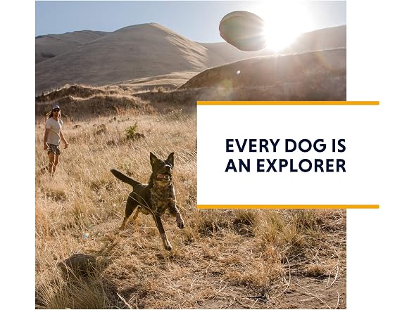 Ruffwear, Flat Out Dog Collar (Formerly Hoop