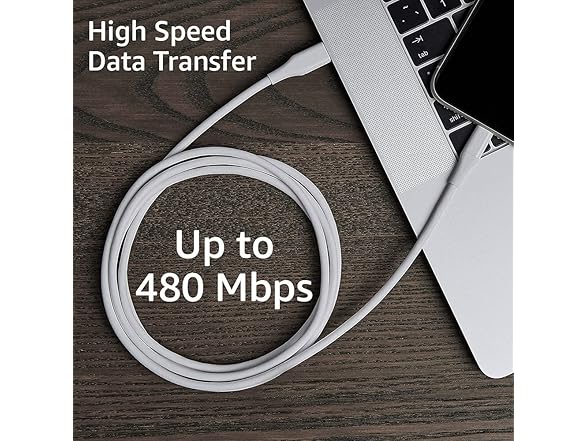 Amazon Basics MFi USB-A to Lightning Cable