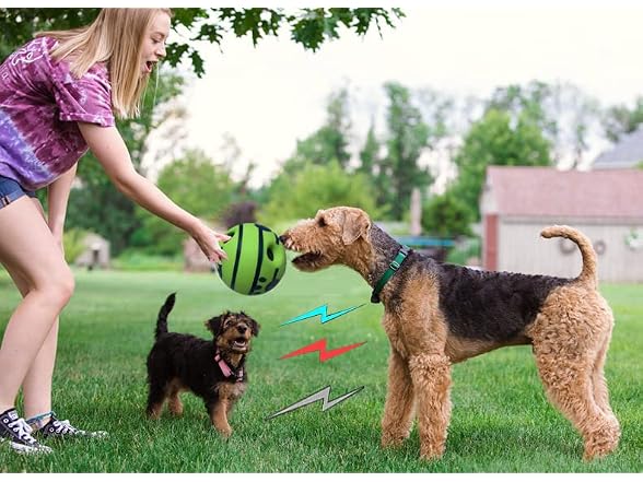 LFCToys 4''Wobble Giggle Dog Ball,Strange Dog