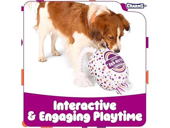 Blow Pop Plush & Rope Dog Toy