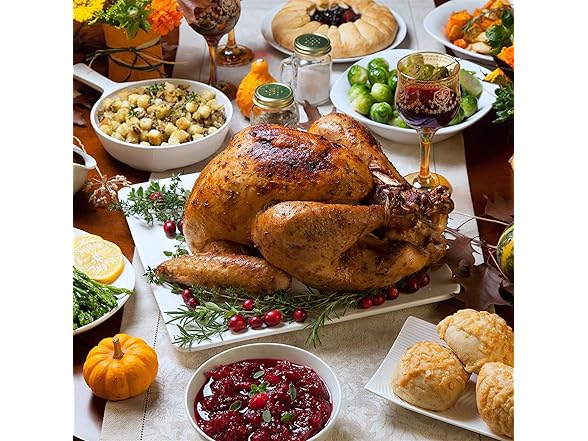 Classic Cuisine Roasting Pan with Angled Rack-Nonstick