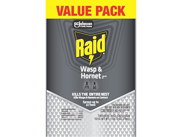 Raid GAR-03 Raid Wasp & Hornet Killer 14 Oz, 2 Ct