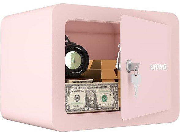 Small Money Safe with Drop Slot