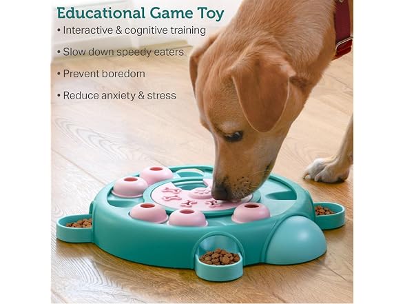 Friends Forever Dog Puzzles Toys with Slower Feeder