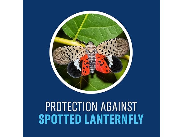 BioAdvanced Tree & Shrub Insect Killer