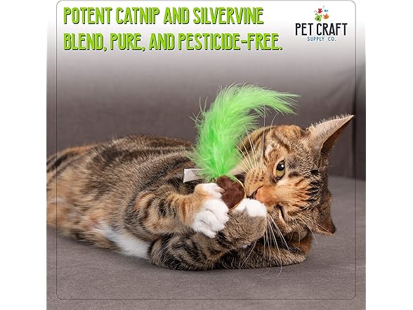 Pet Craft Supply Catnip Crinkle Toy 2Pk