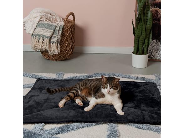 Furhaven ThermaNAP Self-Warming Cat Bed