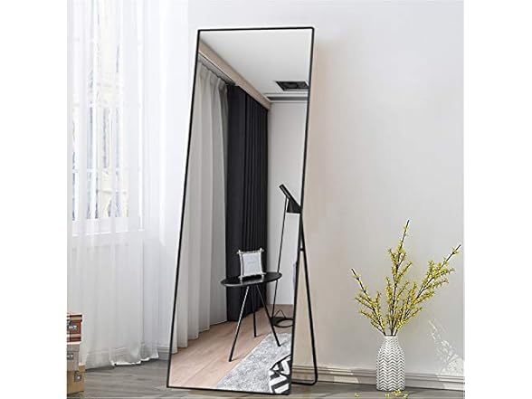 NeuType 55"x20" Full Length Wall Mirror