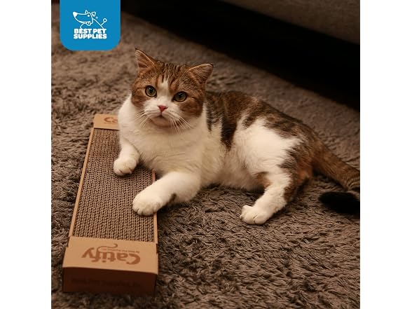 Best Pet Supplies Catify Cat Scratcher 4Pk