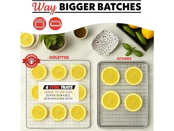 Gourmia Digital Food Dehydrator 