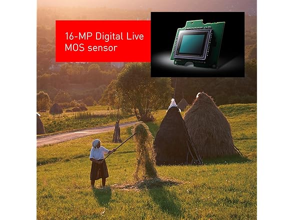 Panasonic LUMIX G85 4K Digital Camera
