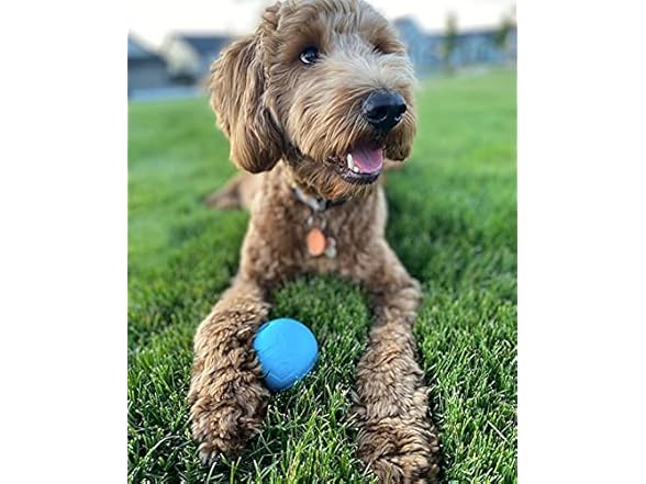 Chew King Dog Fetch Balls, 2 Pack