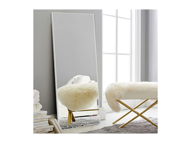 NeuType Full Length Mirror, 64" x 21" Aluminum Alloy