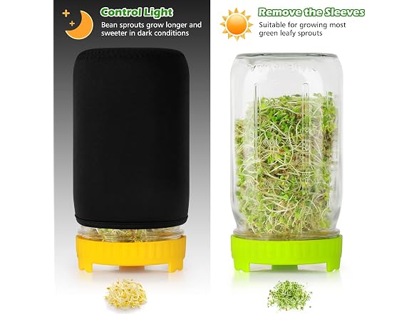 Kitmiido Seed Sprouting Kit Mason Jars