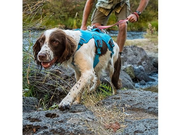 Ruffwear, Web Master, Multi-Use Support Dog Harness