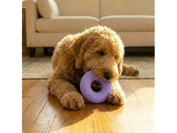 Pupstages Flex-Force Ring Dog Chew Toy, Fetch & Tug