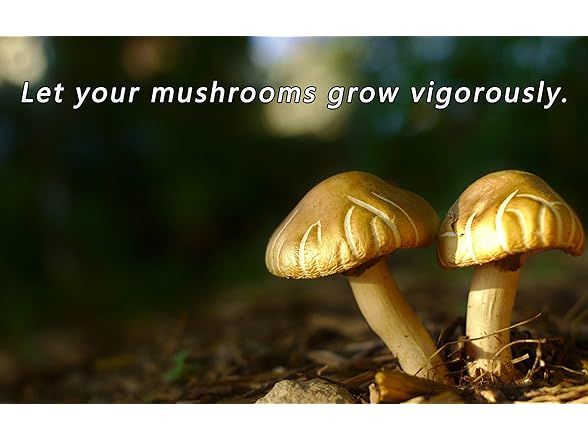 PESSILIN Mushroom Growing Supplies