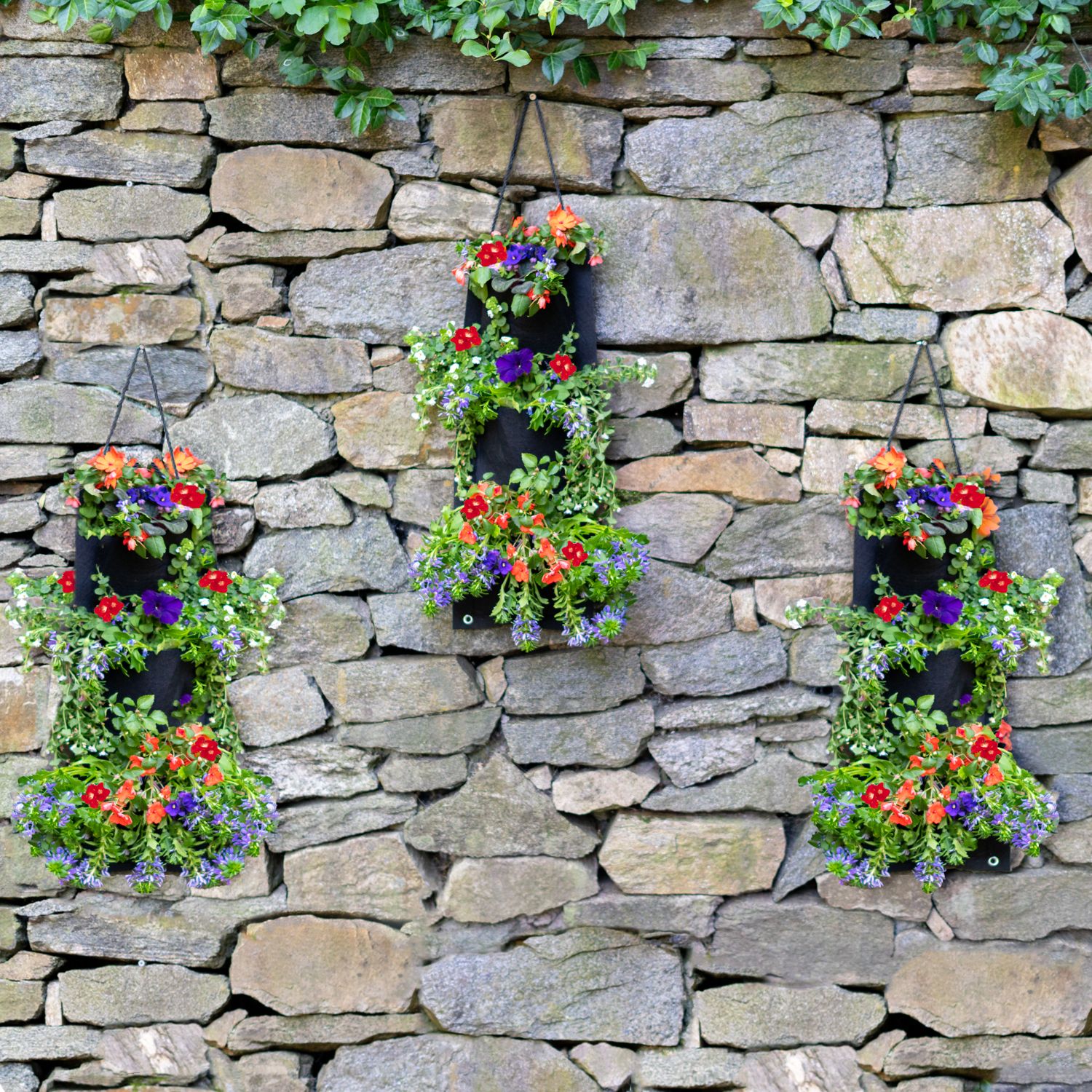 Pocket Hanging Flower Garden Seed Kit - Gallery 20