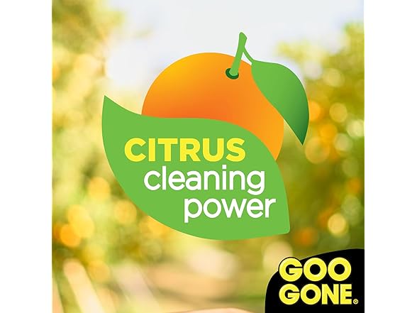 Goo Gone Grease & Grime Paste 20oz