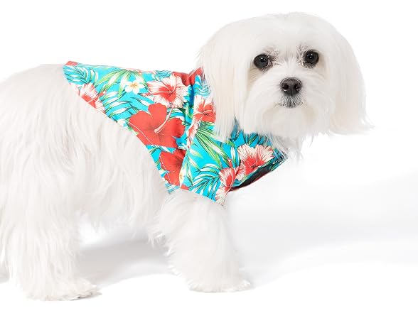 United Pups Hawaiian Shirt for Dogs Small to