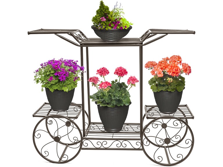Sorbus FLR-ST1-BRN