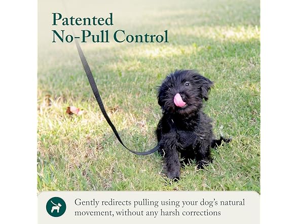 Sporn No Pull Dog Harness, Durable Nylon Mes