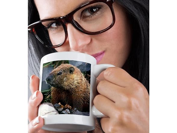3dRose Groundhog 15oz Mug