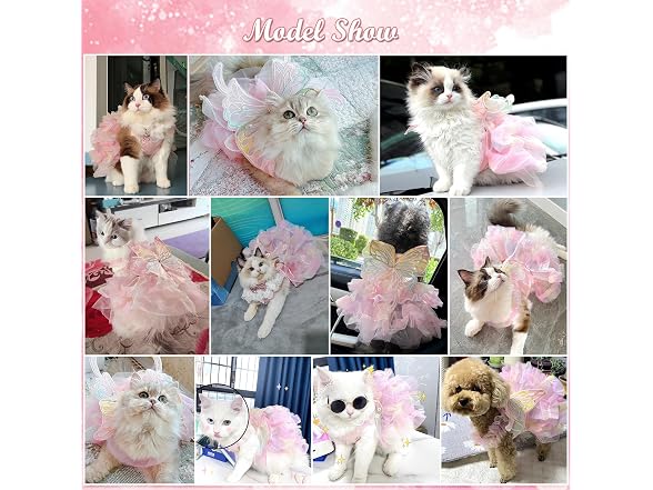 BAMY Butterfly Wings Dog Dress,Summer Cat Sk