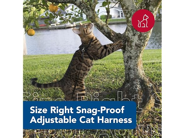 Coastal Pet Size Right Snag-Proof Adjustable