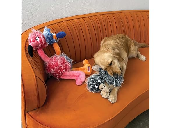 Kong Company 38750911: Comfort Jumbo Birds D