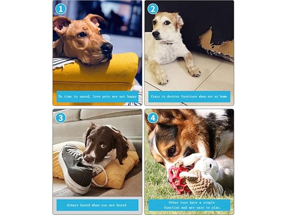 PJDDP Interactive Dog Cat Toys Ball