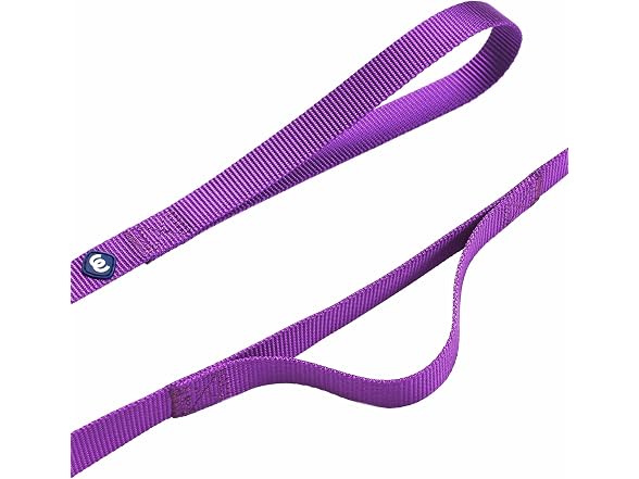 Blueberry Pet Essentials Double Handle Dog Leash