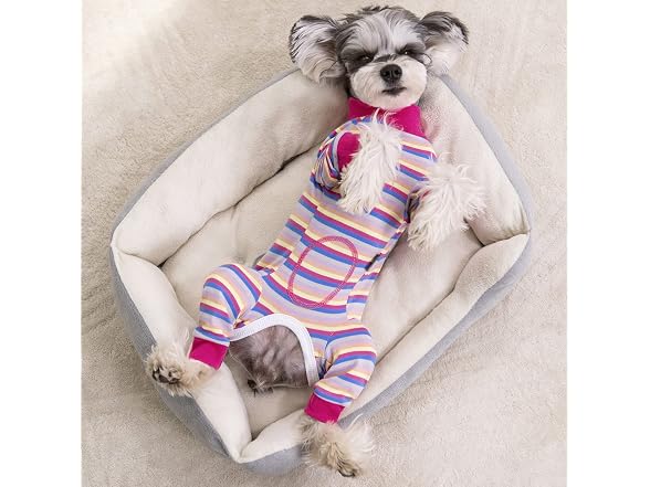 Dog Surgery Recovery Suit for Small Dogs, 4-