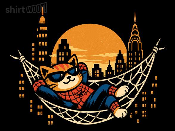 Lazy Spidercat
