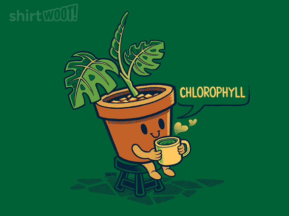 Chlorophyll