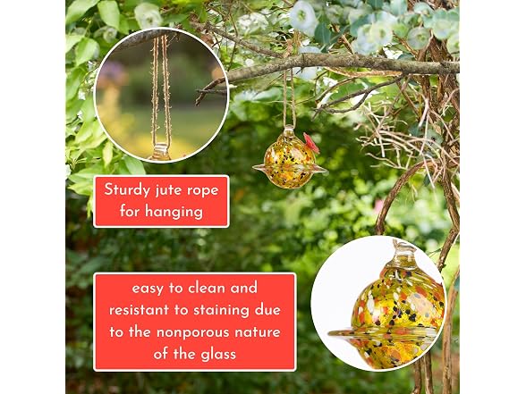 Red Carpet Studios Hummingbird Feeder Glass