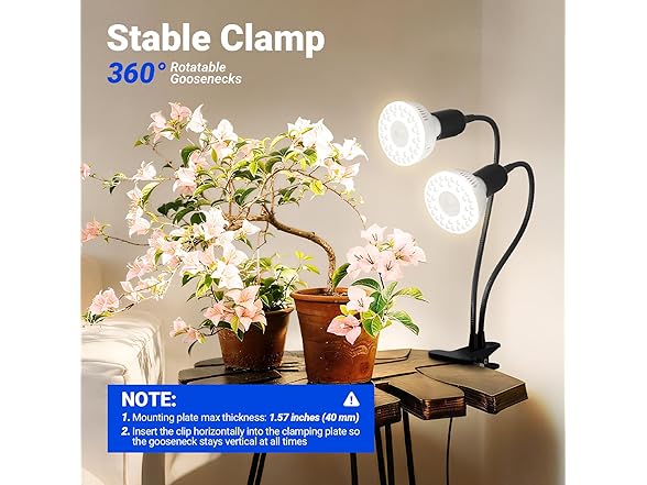 Barrina clip lamp