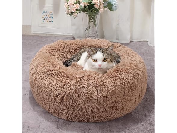 Small Deep Sleep Calming Bed for Dogs with An