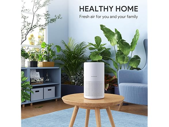 FULMINARE Air Purifier