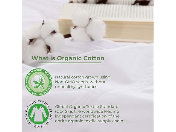 Superior Organic Cotton 300 Thread Count Sheet Set