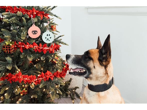 Pearhead Pearhead Pet Christmas Clean Touch Ink