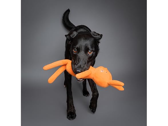 NOAH & PAW Luxury Dog Toy Basket Set