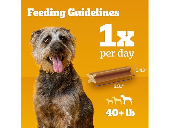 Pedigree Dentastix Large Dog Treats, Original, 32CT