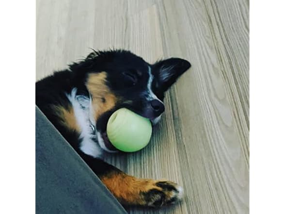 Chew King Glow Fetch Ball 2pk