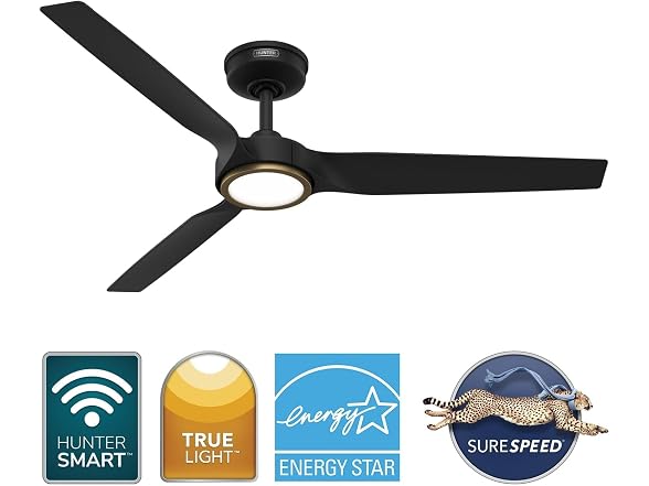 Hunter Fan Outdoor Ceiling Fan, 52 in White Ceiling Fan