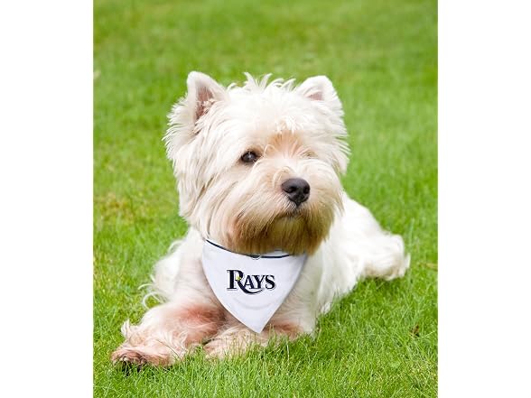 Pets First MLB Bandana
