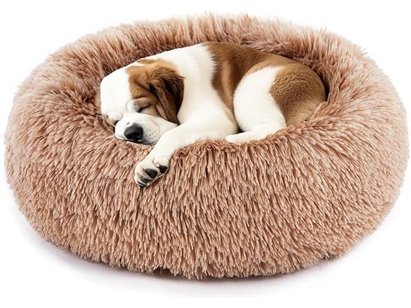 FITION Dog & Cat Bed for Indoor Cats Calming Bed