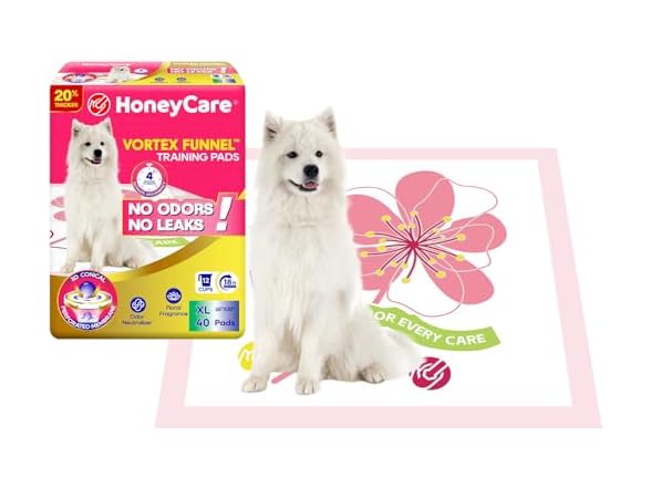 HoneyCare Vortex Funnel Pink Printed Training Pads XL