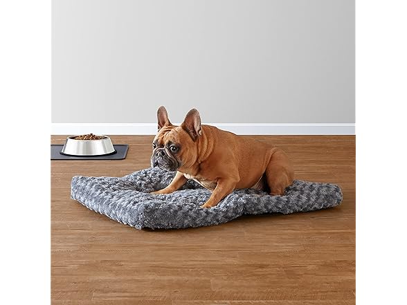 Amazon Basics Washable Cat and Dog Bed 29 x 21 x 3 in