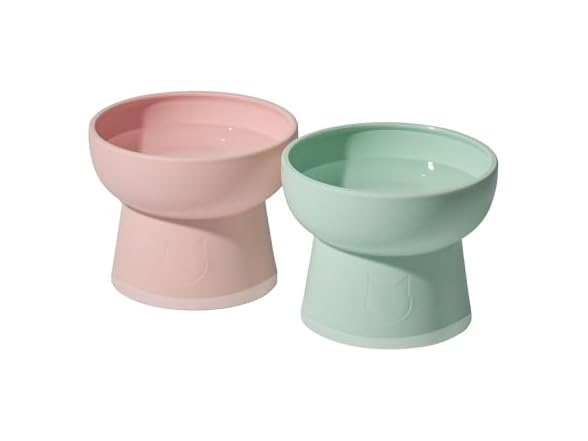 Necoichi 2pcs Elevated Cat Water Bowls, Food